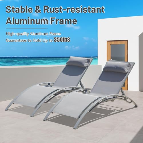 Aluminum Chaise Lounge Set of 2 Outdoor 5 Position Adjustable with Armrests Textilene Grey vovaloop